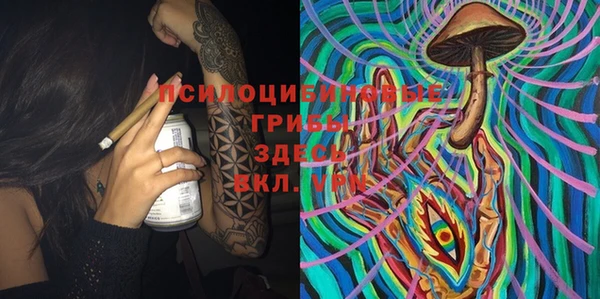 spice Баксан