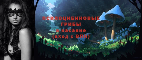 винт Армянск